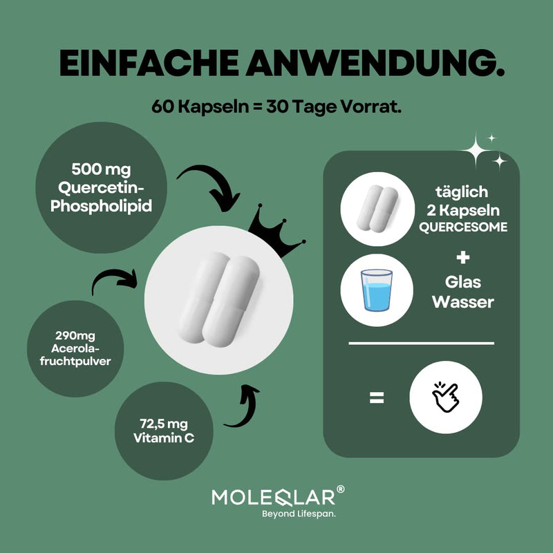 MoleQlar high-dose quercetin capsules - 60 capsules of premium quercetin C complex - 500 mg quercetin phospholipid per serving - 20x better bioavailability than powder - NewNest Australia