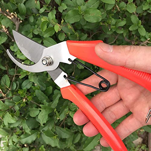 Labor-Saving Manual Fruit Picking Scissors Tree Shears Garden Gardening Pruning Scissors - NewNest Australia