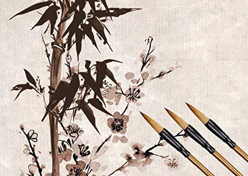 Chinese Calligraphy Brush, Writing Drawing Watercolor Ink Brushes Hubi Painting Kanji Japanese Sumi Wolf Bamboo Brushes Set for Professional Beginner (Green) Green - NewNest Australia