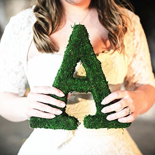 BYHER Roll of Green Moss for Fairy Gardens Wedding Other Arts and Crafts (10x120cm (4" W x 48" L)) 10x120cm (4" W x 48" L) - NewNest Australia
