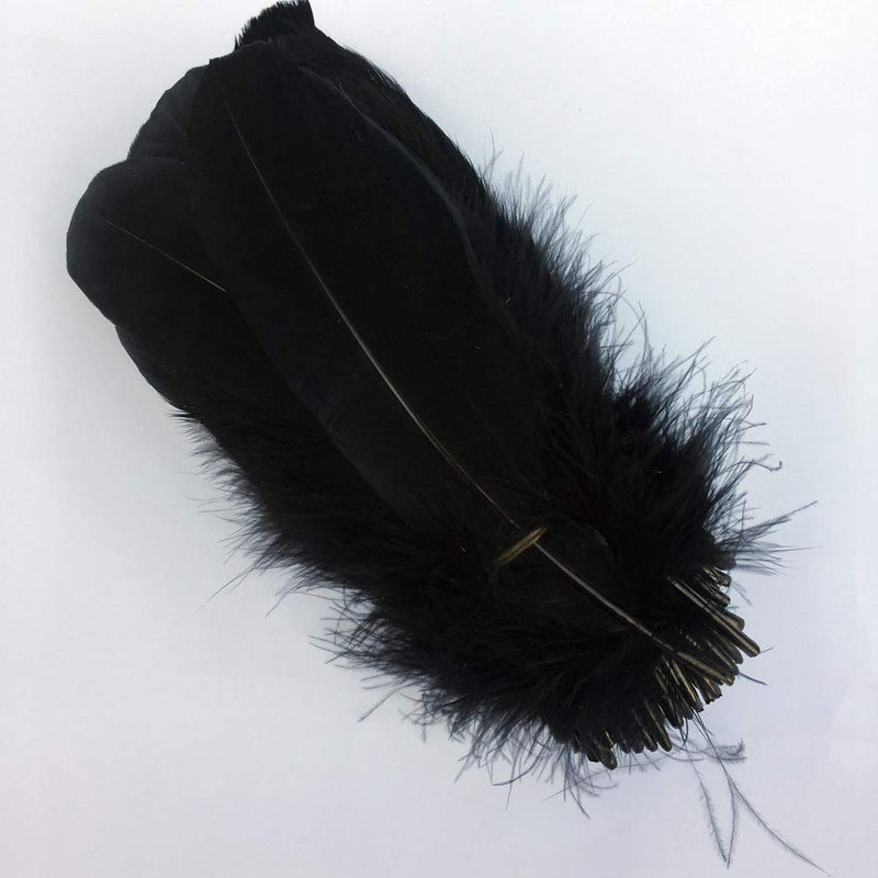 Sowder Natural Goose Feathers Clothing Accessories Pack of 100 (Black) Black - NewNest Australia