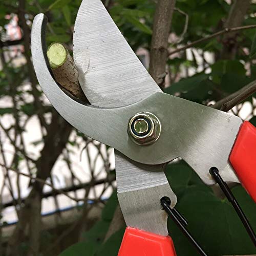 Labor-Saving Manual Fruit Picking Scissors Tree Shears Garden Gardening Pruning Scissors - NewNest Australia