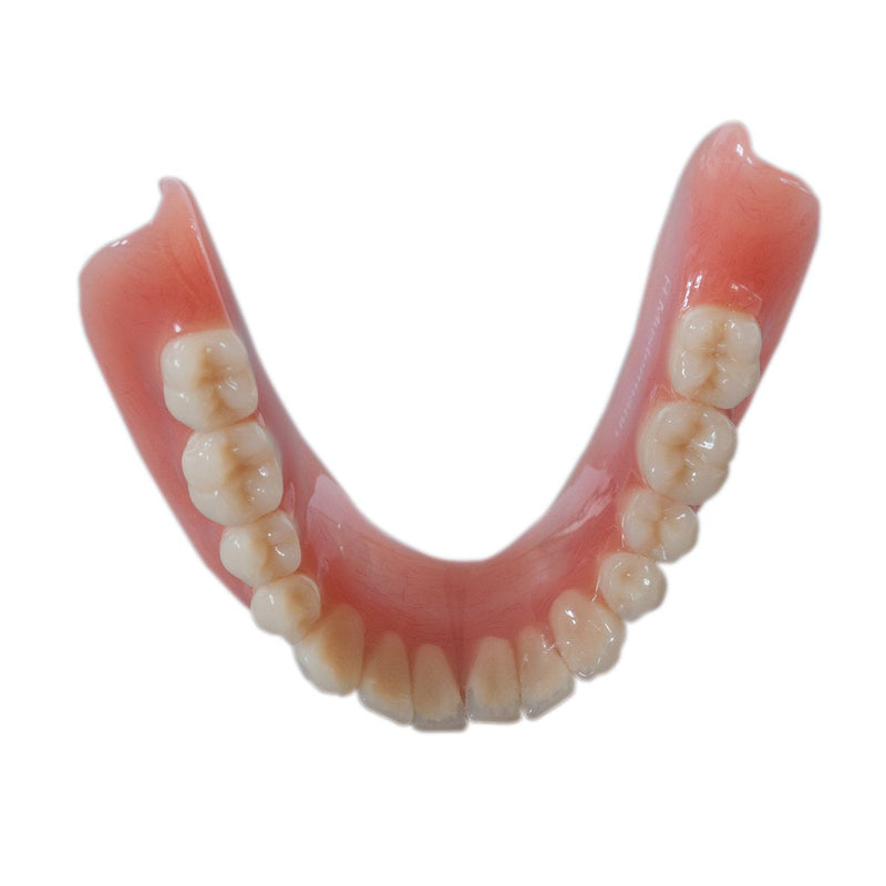 reinerDENT3 denture cleaner high concentrate - NewNest Australia