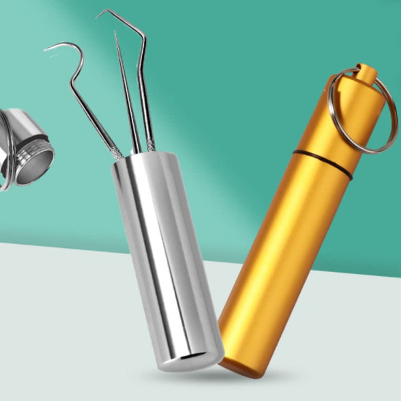 2 Set/ 6Pcs Pocket Toothpick Holder Keychain Toothpicks Set Titanium Toothpick Cleaning Tooth Hook Scraper Metal Toothpick Holder Dental Picks for Camping Picnic Outdoor - NewNest Australia