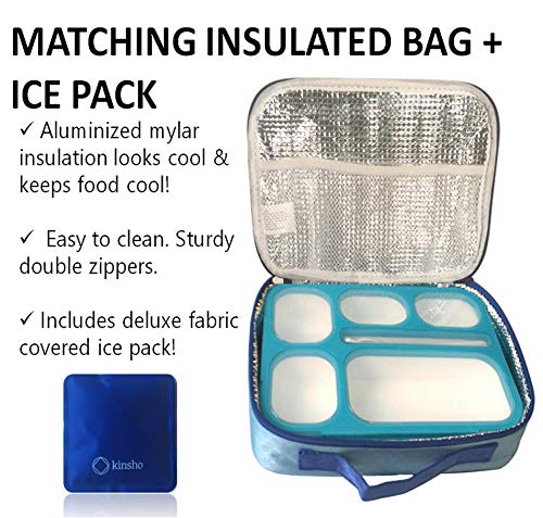 NewNest Australia - Bento-Box with Bag and Ice Pack Set. Lunch Boxes Snack Containers for Kids Boys Girls Adults. 6 Compartments, Leakproof Portion Container Boxes Insulated Bags for School Lunches, BPA Free, Blue Blue 6 Compartment + Bag + Ice Pack 