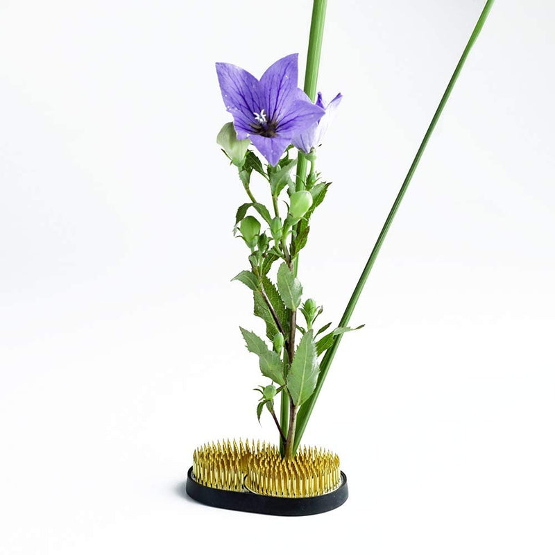 Wazakura Sun and Moon Ikebana Kenzan, Made in Japan, Pin Frog Japanese Flower Holder for Floral Arrangement - 3-3/4"x2-1/4(93x59mm) Brass - NewNest Australia