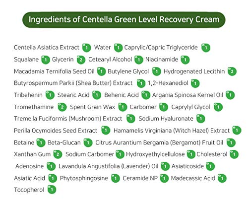 PURITO Centella Green Level Recovery Cream 50Ml For Effective Skin Condition Improving & Recovery, Pack of 1 - NewNest Australia