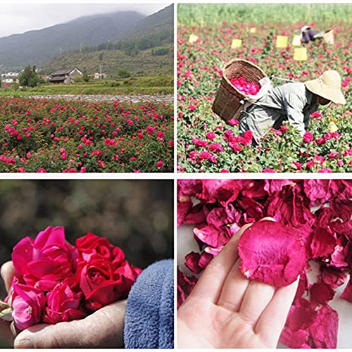 DoraMagic Dried Red Rose Petals, Real Natural Dried Rose Petals 1.75oz/50g for Bath, Soap Making, Candle Making, Wedding, Confetti, DIY Crafts, Non Edible - NewNest Australia