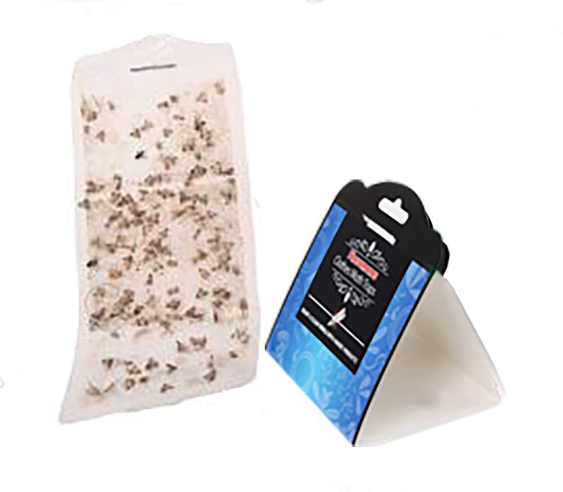 NewNest Australia - Clothes Moth Traps (6 Count) Moth Repellent with Pheromones Lure| Sticky Glue Traps for Bugs, Moth Killer for Carpet, Wool Clothes| Moth Traps Closet Clothing Eco-Friendly, Kid and Pet Safe. 