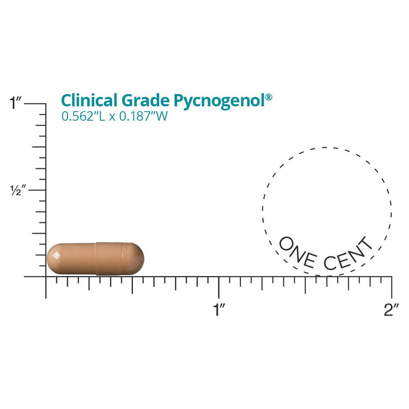 Dr. Whitaker's Clinical Grade Pycnogenol, 60 Capsules (30-Day Supply) - NewNest Australia