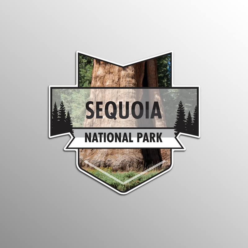 Sequoia National Park Magnet | 4.7-Inch by 4.5-Inch | 2-Pack | 30 MIL Heavy Duty Magnetic Material | MPD961 - NewNest Australia