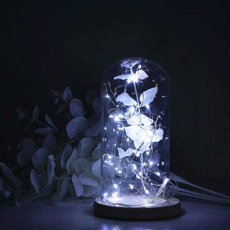 12 Pack Fairy Lights Battery Operated, 30 LEDs Mini Starry String Lights 9.8ft Silvery Copper Wire Lights,2pcs CR2032(Incl),Works for Wedding Centerpiece,Party,Table Decorations(Cool White) 12pack 12 Pack-cool White - NewNest Australia
