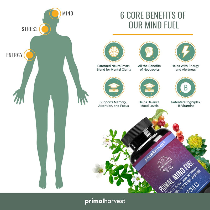 Brain Supplement by Primal Harvest - Primal Mind Fuel Brain Booster for Focus, Energy, Clarity, Memory Brain Health - Focus Supplement for Men and Woman 30 capsules Nootropics Brain Support Supplement - NewNest Australia