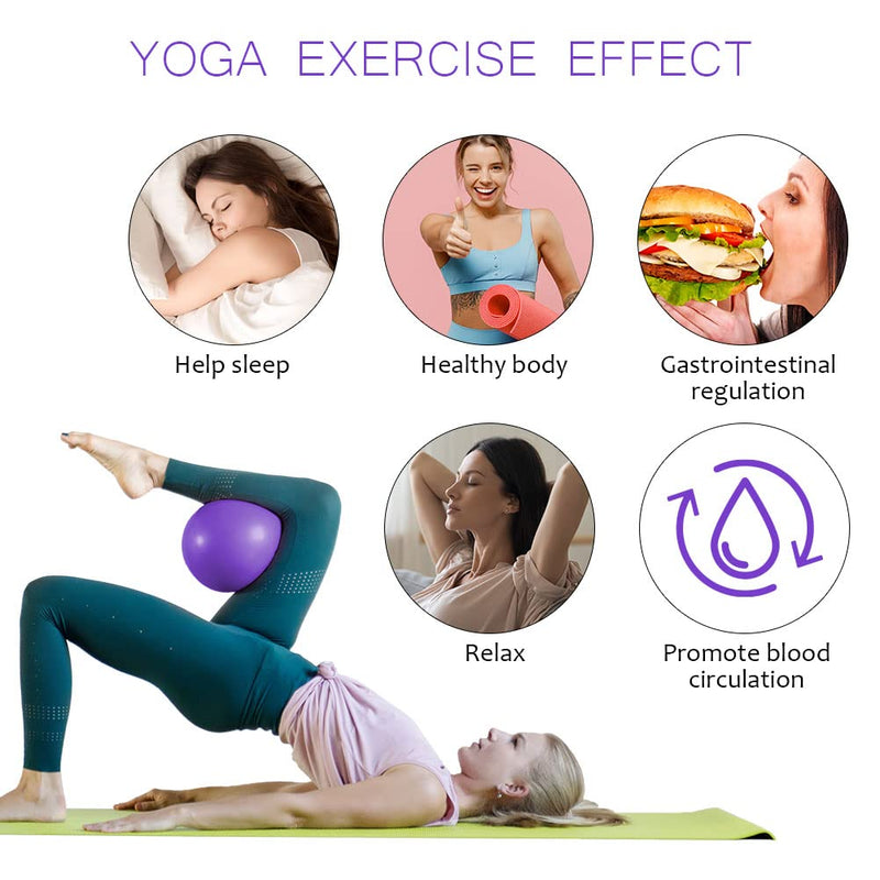 flintronic Mini Pilates Ball, Small Anti Burst Exercise Ball for Yoga, Pilates, Balance, Physical Therapy, Stretching and Core Fitness - Includes Stability Ball Workout Guide Purple - NewNest Australia