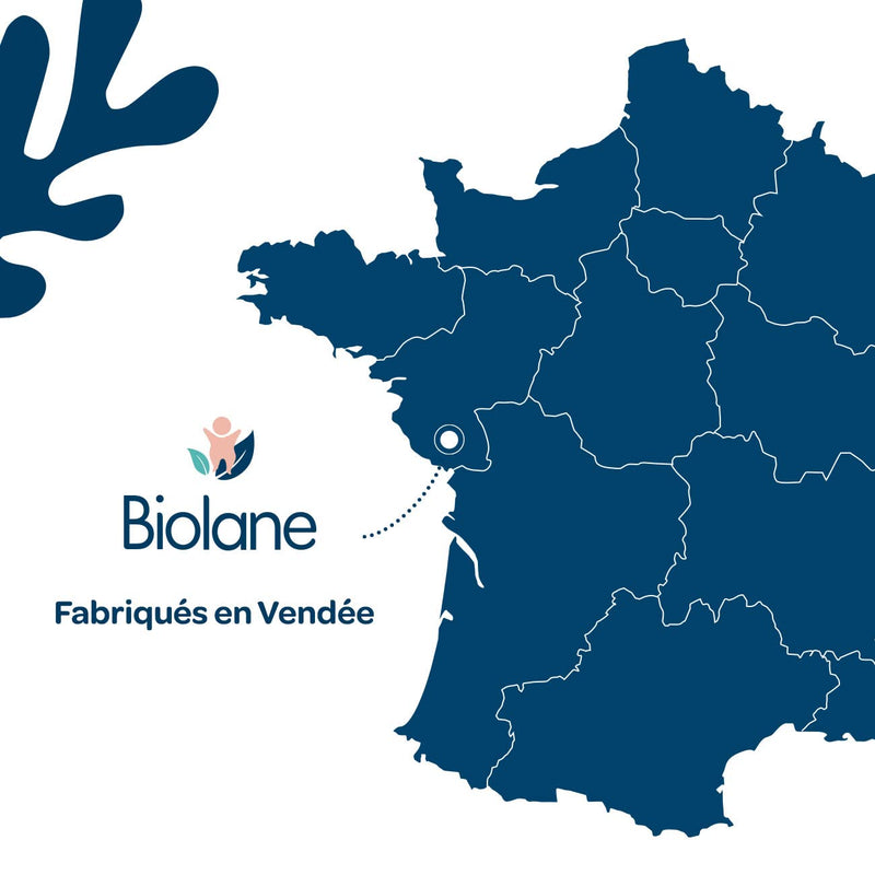 BIOLANE - Eryderm Water Paste – Baby – New Packaging – Relief, Repairs – Irritations, Redness – Epidermis Buttocks – 75ml – Made in France - NewNest Australia