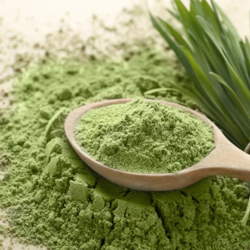 Barley grass powder organic (500g) | From German cultivation | Raw food quality | 100% barley grass powder | Residue controlled | vom-Achterhof, antioxidants 500 g (pack of 1) - NewNest Australia
