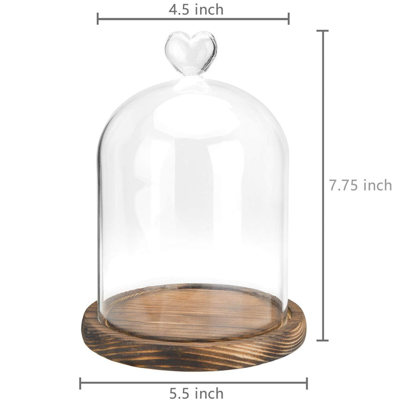 NewNest Australia - MyGift Clear Glass Cloche Bell Jar Display Case with Heart Top Handle & Dark Brown Wooden Base 