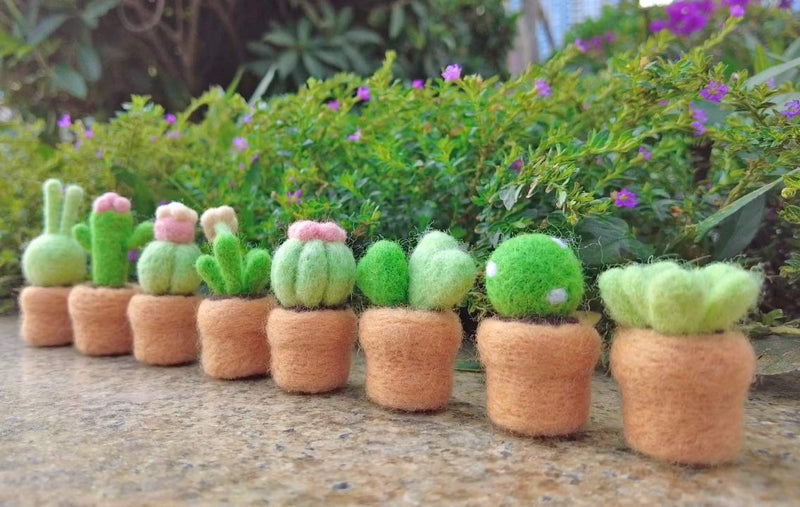 Truslin - DIY Needle Felting Succulents Kit Cactus Kit Great for Arts and Crafts Easy for Beginners, Make 8 Wool Pots and Succulents Kit, 8 in 1 Succulents Kit Succulents 8 in 1 kit - NewNest Australia