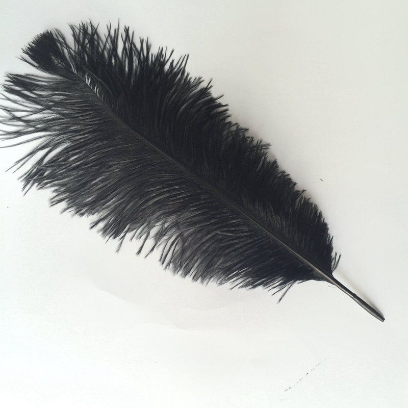 Shekyeon 12-14inch(30-35cm) Ostrich Feathers Plumes for Wedding Centerpieces Pack of 10 (Black) Black - NewNest Australia