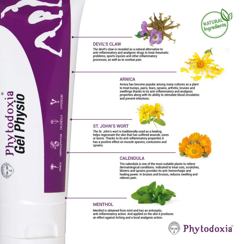 Physio Gel 200 Ml | Pain Gel Anti-Inflammatory Strong | Pain Relief For Back, Knees, Neck | Joints And Muscles | For Athletes | Devil'S Claw Arnica Marigold St John'S Wort Menthol - NewNest Australia