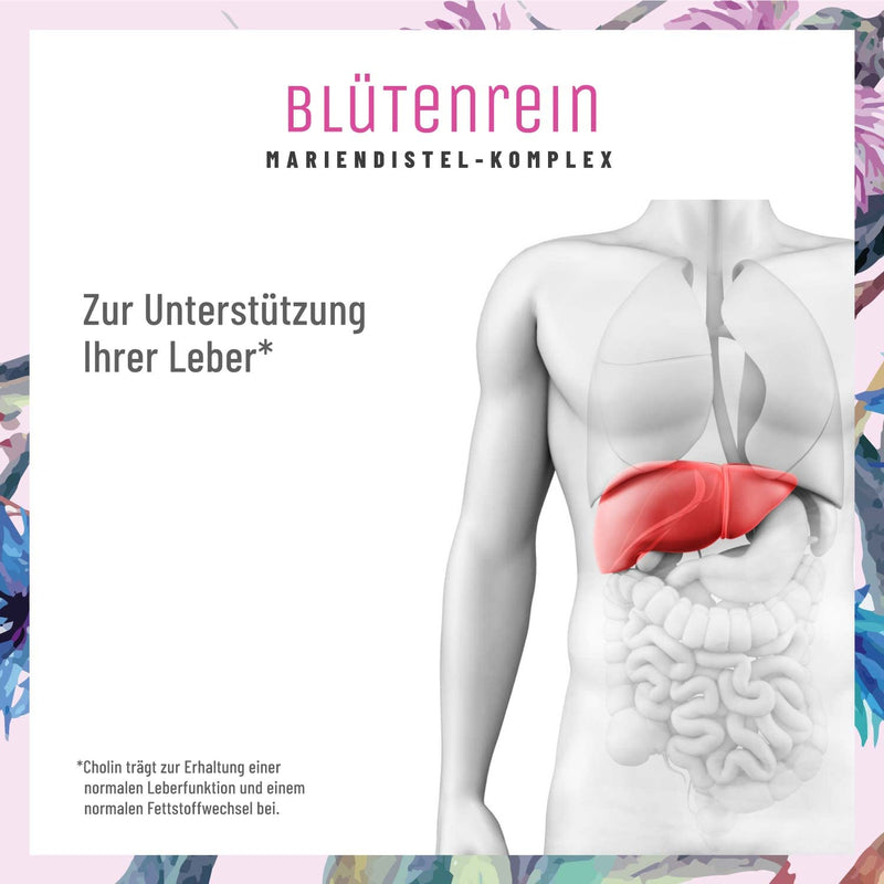 Milk Thistle Artichoke Dandelion -Comparison Winner 2019* - Bioavailable Choline (Contributes To The Maintenance Of Normal Liver Function) - 500 Mg Milk Thistle (80% Silymarin) - NewNest Australia