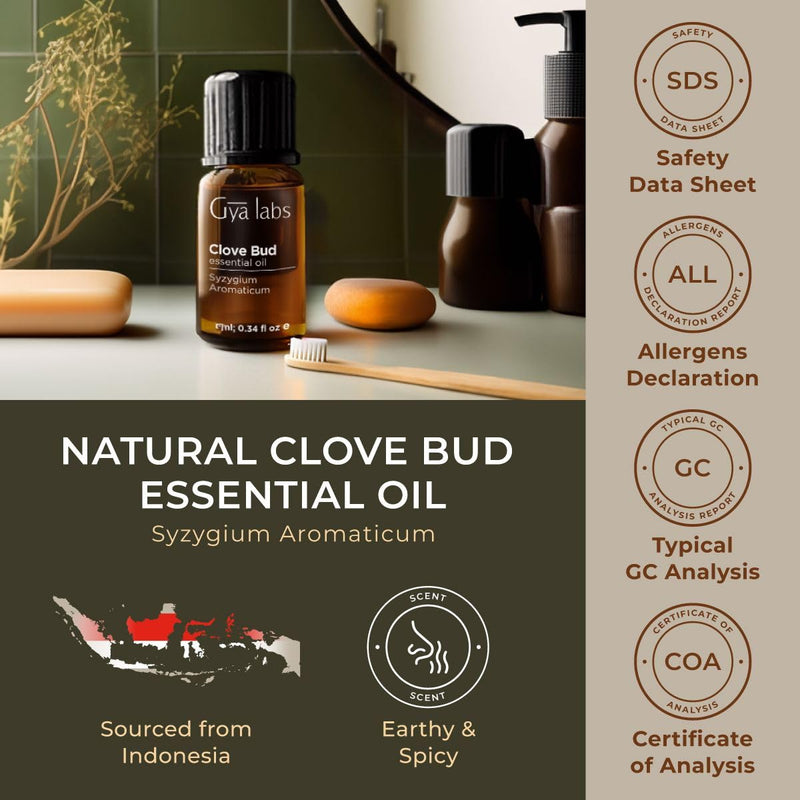 Gya Labs Clove Oil for Oral Care. Natural Clove Essential Oil for Oral discomfort. - Clove Oil Essential Oil - Clove Oil for Hair, Skin, Teeth, and Gums. (10 ml) 10 ml (Pack of 1) - NewNest Australia