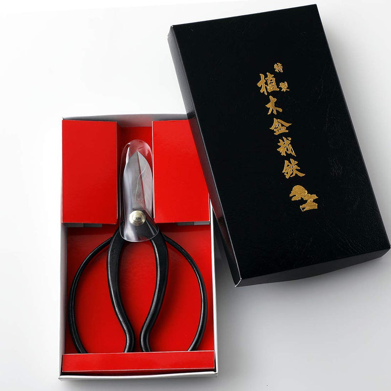 Hanafubuki Ikebana Scissors Made in Japan 6.7inch (170mm), Japanese Flower Arranging Tools, Kado Hasami Shears-Koryu Black Koryu Black - NewNest Australia