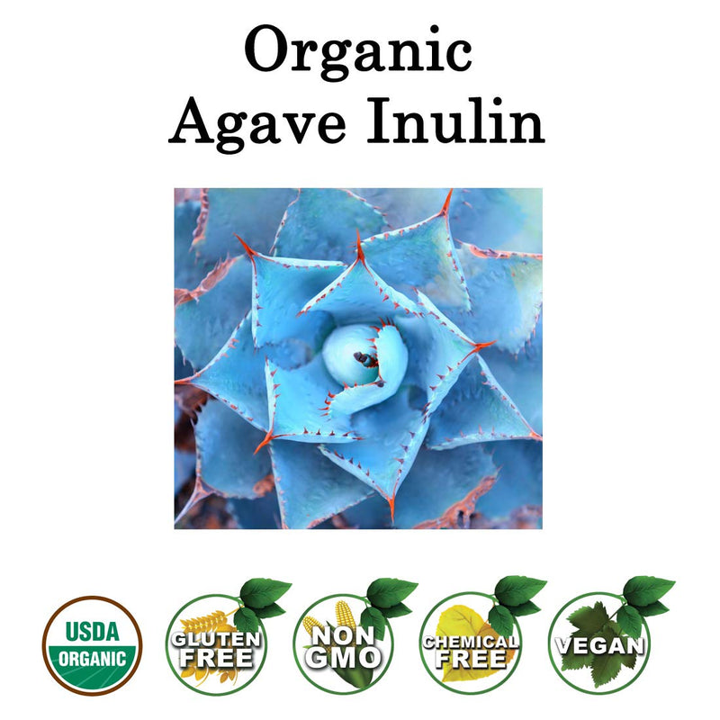 Organic Agave Inulin Powder - All Natural Fiber Supplement - Prebiotic Superfood for Drinks, Smoothies and Recipes - Great for Cooking or Baking - Raw, Non GMO, Gluten Free, Kosher - 1 lb 1.0 Pounds - NewNest Australia