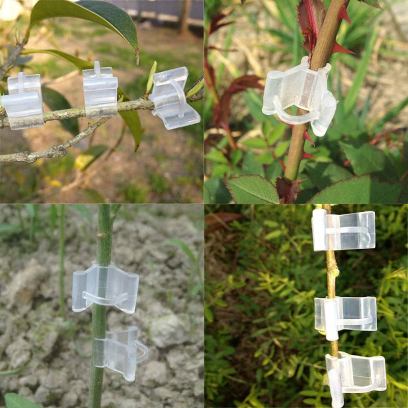 Teensery 100 Pcs Plastic Plant Grafting Clips Vegetables Flower Fruits Vine Grow Upright Clip Mini Gardening Tools - NewNest Australia