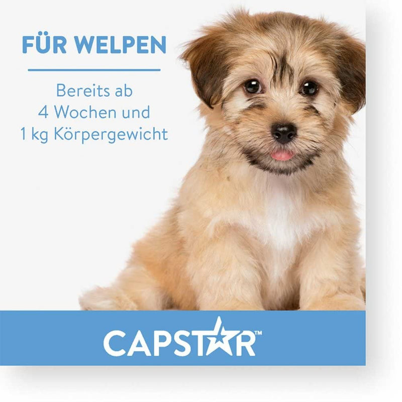capstar 11.4 mg tablets for cats/small dogs 6 pcs - NewNest Australia