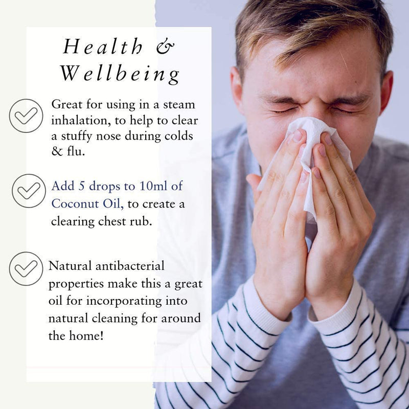 Absolute Aromas Eucalyptus Essential Oil 10ml - 100% Pure, Natural and Undiluted - an Antiseptic and Antibacterial Oil to Soothe and Clear - for use in Diffusers and Aromatherapy 10 ml (Pack of 1) - NewNest Australia
