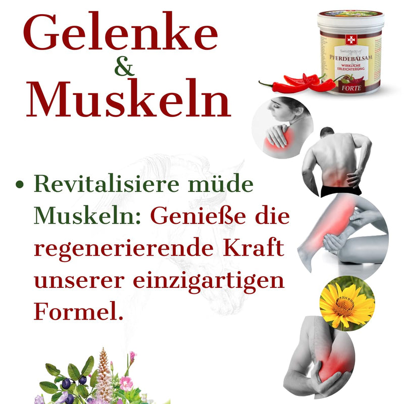 Swissmedicus Horse Balm Massage Gel With 25 Herbal Extracts (Comfrey, Horse Chestnut, Arnica, Eucalyptus) Noticeable Relief For Massage For Musces, Joints, Back Warming, Extra Strong 500 Ml - NewNest Australia