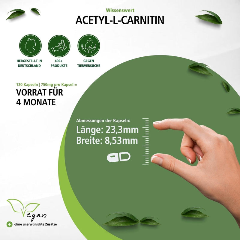 Fairvital | Acetyl-L-Carnitine high dose - 750mg - HIGH DOSE - VEGAN - 120 capsules - NewNest Australia