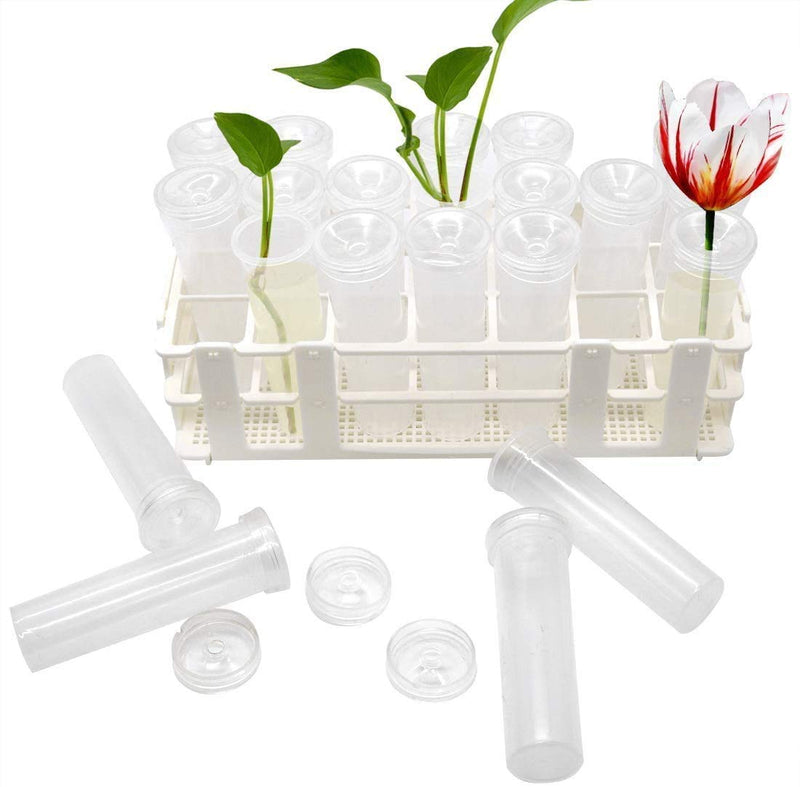 21 Pack Floral Water Tubes with Rack Holder Flower Vials Water Container for Flower Arrangements, Milkweed Cuttings 21 Pack Tubes - NewNest Australia