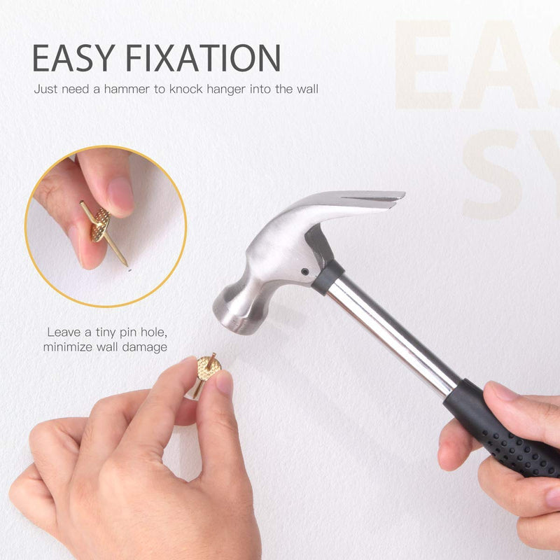 Picture Hanging Nails, Hommie Picture Hangers with10-60 lbs 50PCS Picture Hangers Hardware kit One Step Picture Hangers Nails for Drywall, Picture Frame, Canvas, Mirror Hanging Decoration 10-60bls 50pcs - NewNest Australia