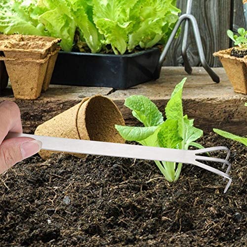 Mumusuki 2 in 1 Stainless Steel Bonsai Gardening Tool Root Rake and Spatula Patio Lawn Garden - NewNest Australia