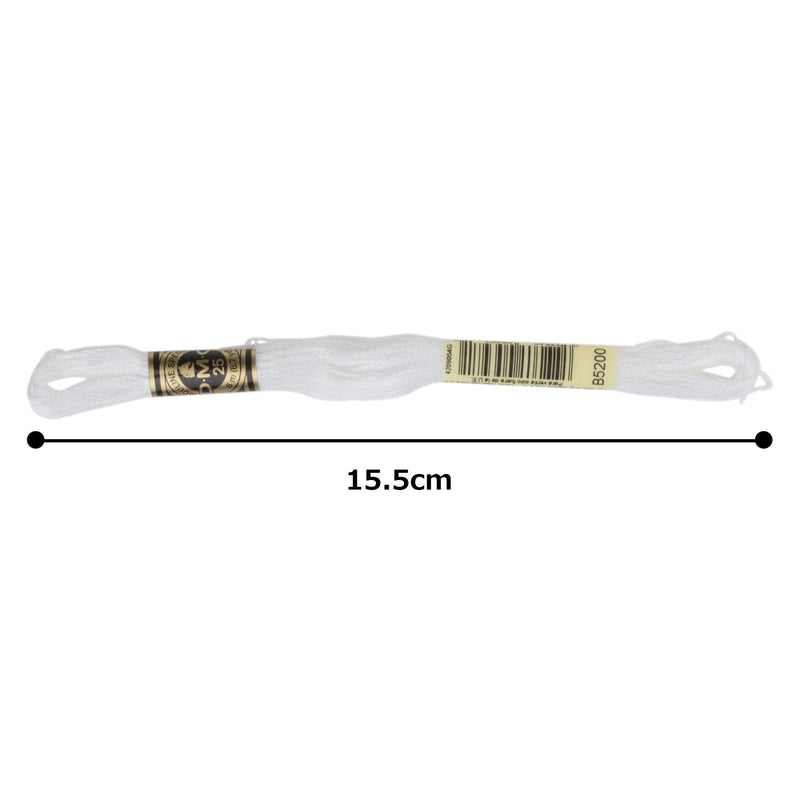 DMC 6-Strand Embroidery Cotton Floss, Snow White - NewNest Australia