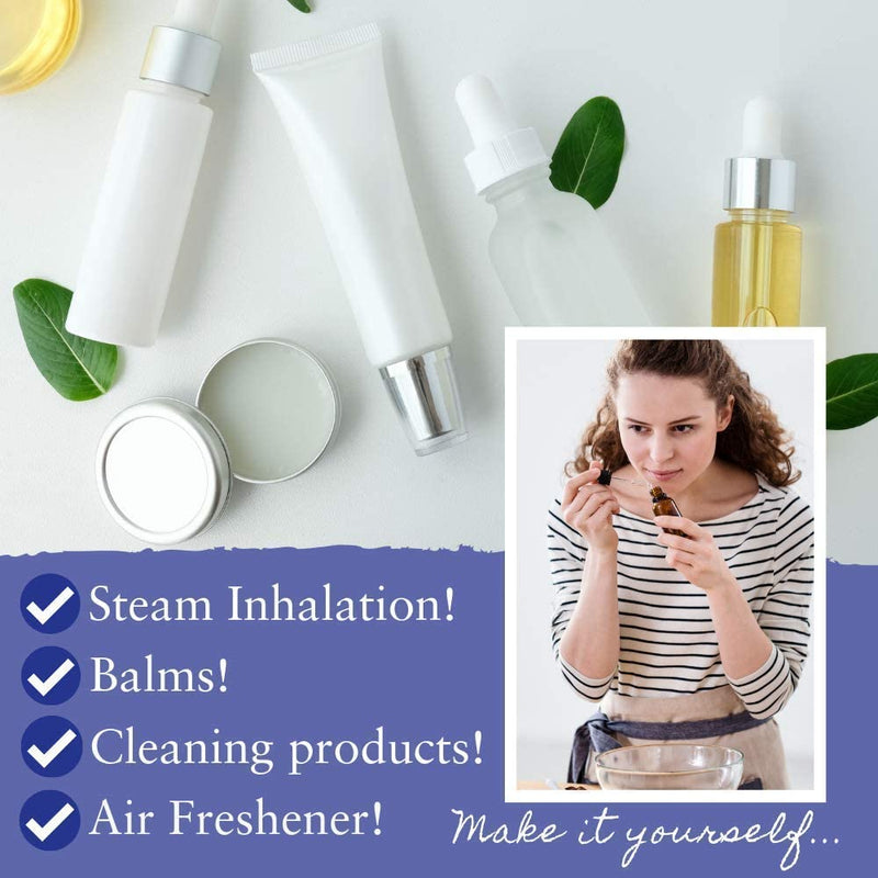 Absolute Aromas Eucalyptus Essential Oil 10ml - 100% Pure, Natural and Undiluted - an Antiseptic and Antibacterial Oil to Soothe and Clear - for use in Diffusers and Aromatherapy 10 ml (Pack of 1) - NewNest Australia