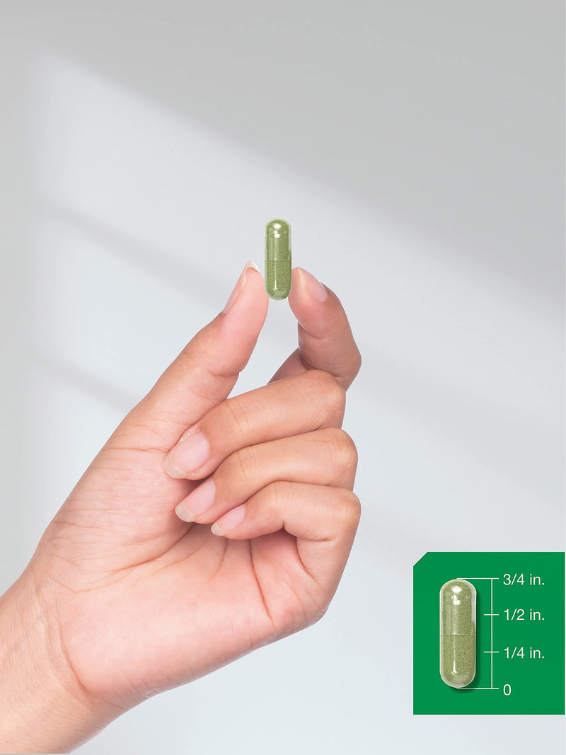 Saw Palmetto Extract | 120 Capsules | Gluten Free | from Saw Palmetto Berries | by Horbaach - NewNest Australia