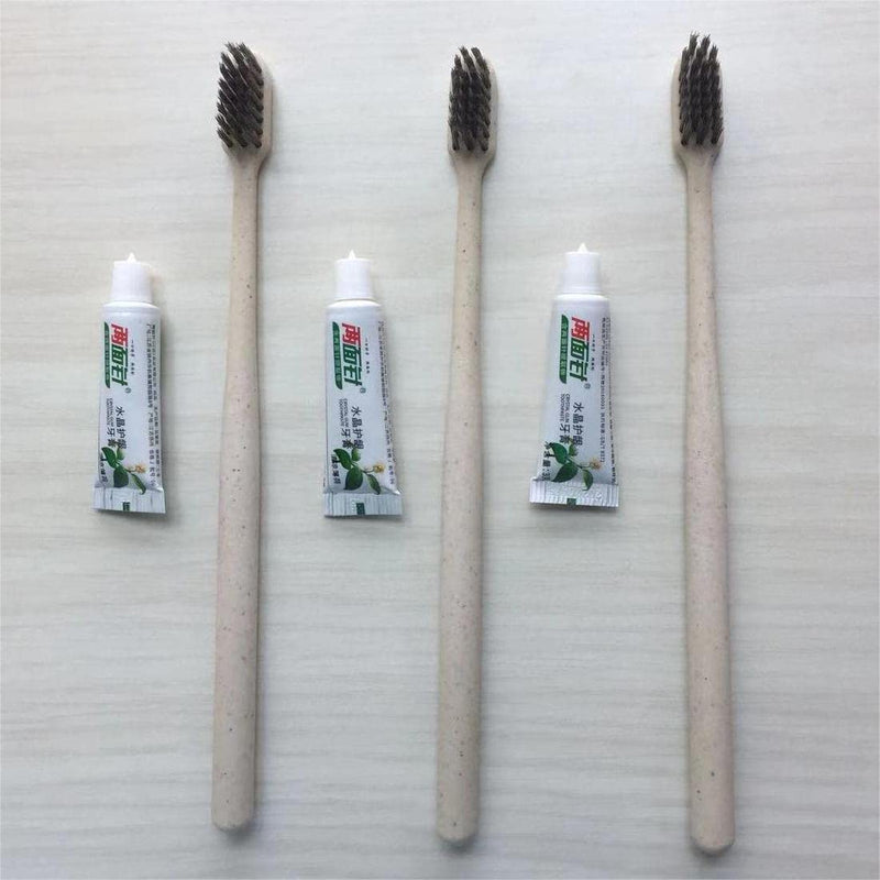 Disposable Toothbrushes, Manual Toothbrush, 20 Set Of Sustainable & Disposable Toothbrushes With Toothpaste Set, Biodegradable, Vegan & Bpa Free, Individually Packaged, Round Toothbrush Handle. 20/R - NewNest Australia