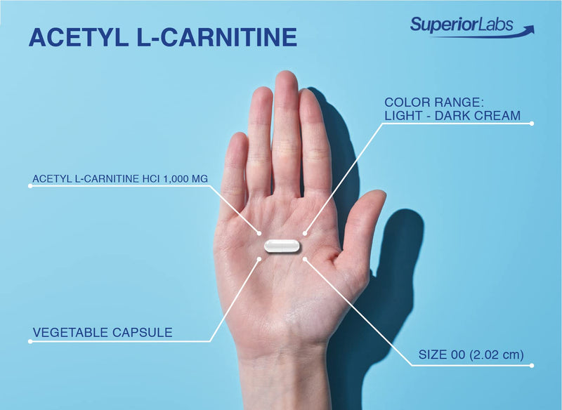 Superior Labs | Acetyl L-Carnitine 1000mg | 200 caps | Maximum Absorption | Pure Vegetable Capsules | Zero Synthetic Additives | Superior Absorption - NewNest Australia