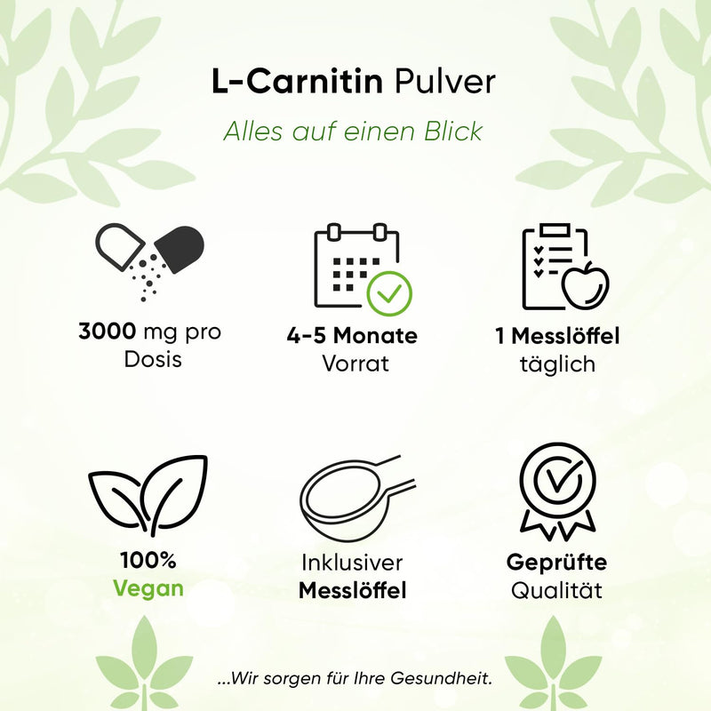 L-Carnitine Pure 400 G - Pure Powder Without Additives - 133 Servings 3000 Mg Carnitine Powder - 100% L-Carnitine Tartrate - Laboratory Tested - Vegan - High Dose - Premium Quality - NewNest Australia