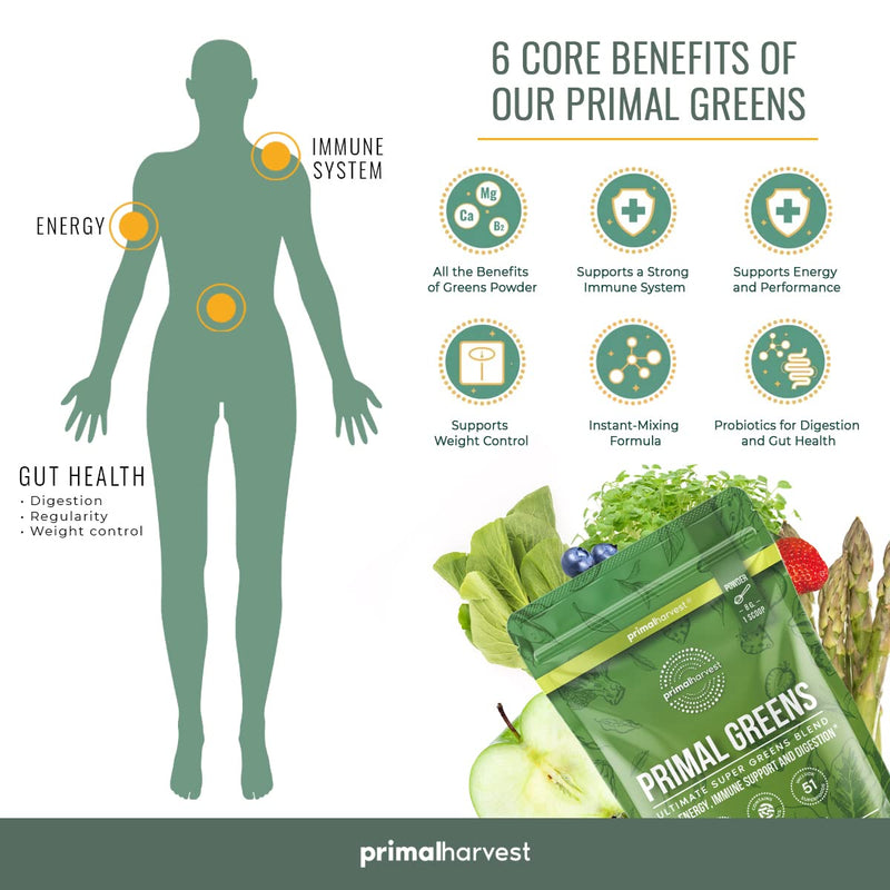 Super Greens Powder by Primal Harvest, 30 servings w/+50 Greens Superfood Chlorella, Probiotics, Green Tea, Wheatgrass, Kale, Turmeric, Green Superfood Powder for Energy - Primal Greens Green Powder - NewNest Australia