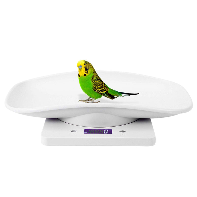 Electronic Pet Scale, Multifunctional Kitchen Scale, 10kg/1g Digital Small Pet Weight Scale Household Measure Tool for Cats Dogs Parrots - NewNest Australia