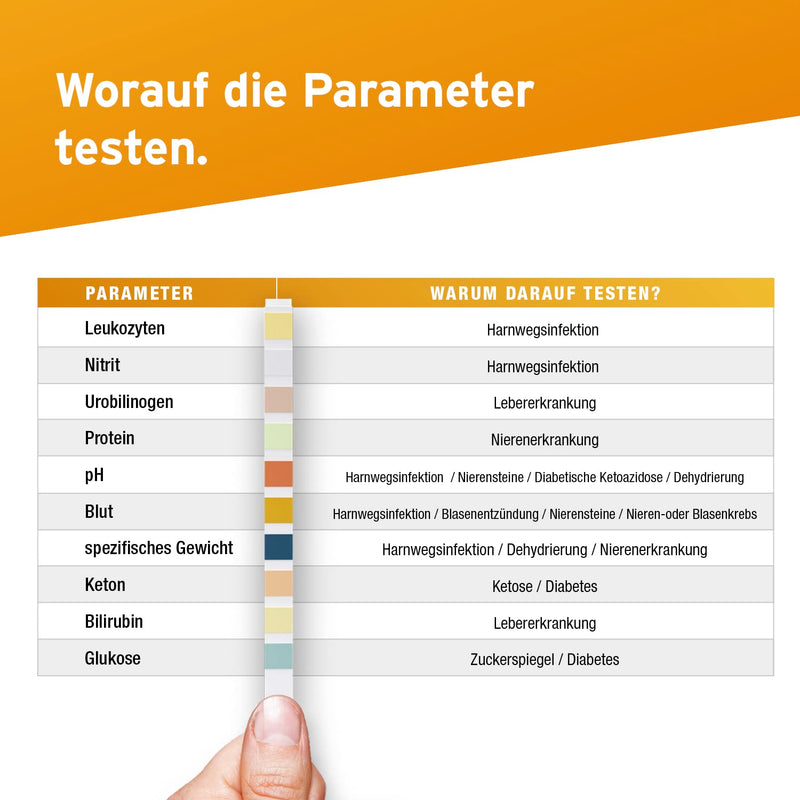 100 X Aydmed Urine Analysis Test Strips 10 Parameters Urine Test Strips For Leucocytes, Nitrites, Urobilinogen, Protein, Ph, Blood, Specific Weight, Ketones, Bilirubin And Glucose - NewNest Australia