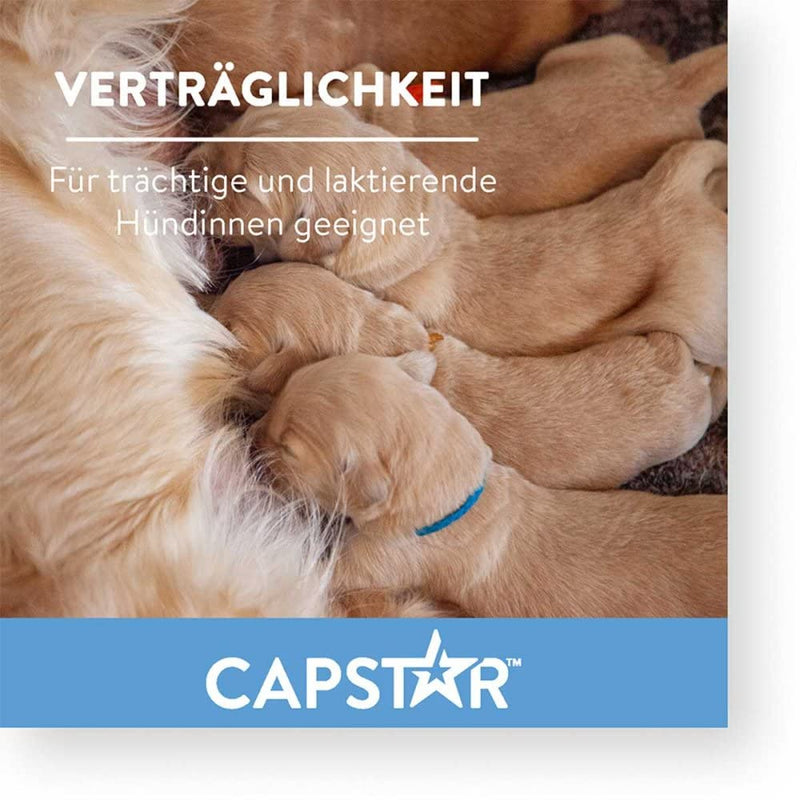 capstar 11.4 mg tablets for cats/small dogs 6 pcs - NewNest Australia