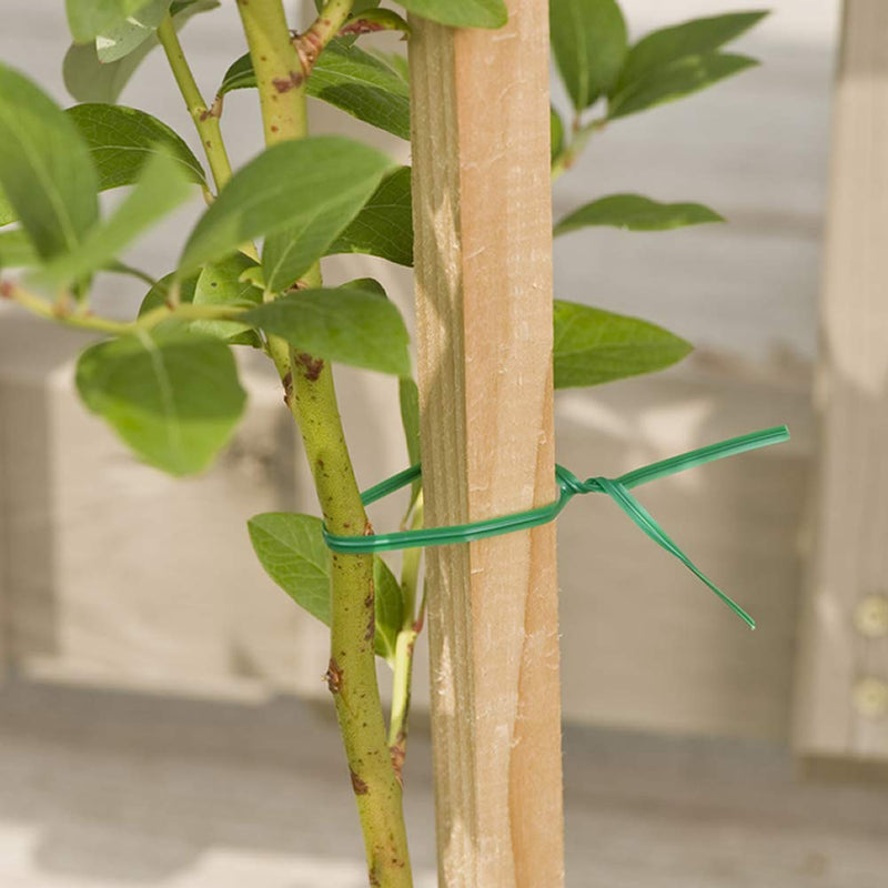Gardener's Blue Ribbon T001B Sturdy Plastic Twist with Cutter, 100' L Original Version - NewNest Australia