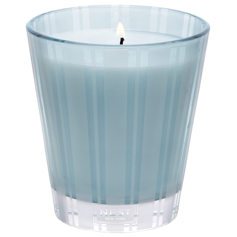 NEST Fragrances Driftwood & Chamomile Scented Classic Candle, 8 Ounces - NewNest Australia