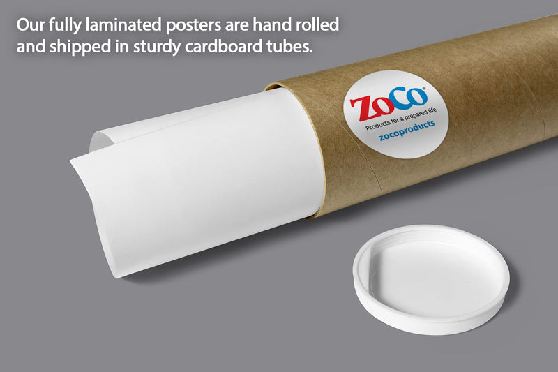 Kids Dental Emergencies Poster - 12 x 18 in. - LAMINATED 1 - NewNest Australia