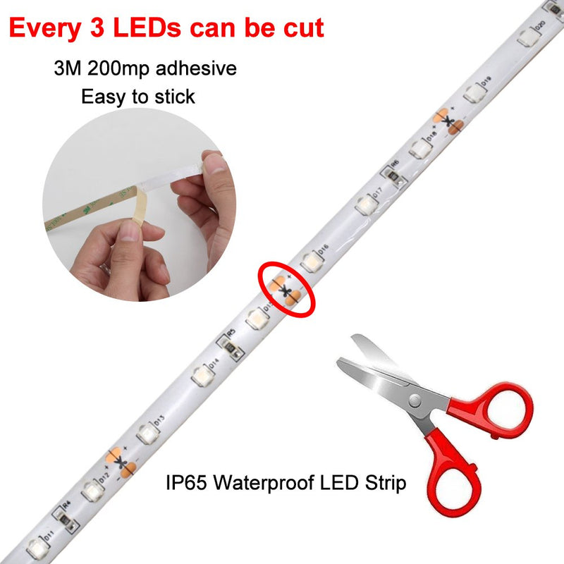 Super Bright 24 Watts UV Black Light LED Strip, 16.4FT/5M 3528 300LEDs 395nm-405nm Waterproof IP65 Blacklight Night Fishing implicitly Party with 12V 2A Power Supply 24w 196.8 Inch (Pack of 1) - NewNest Australia